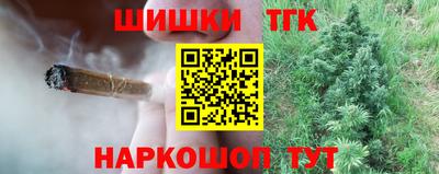 крисы Будённовск